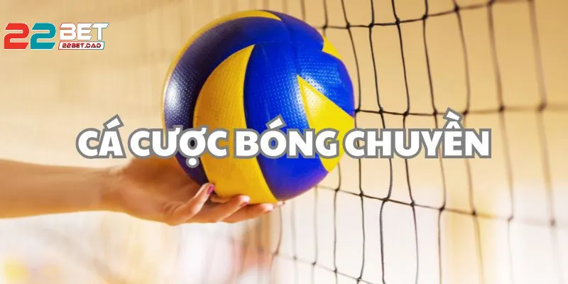 Bóng Chuyền Tại 22bet – Thêm Gia Vị Cho Trận Đấu