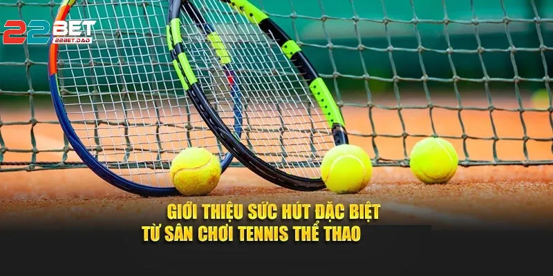 Quần Vợt – Môn Thể Thao Của Tinh Thần và Thể Chất